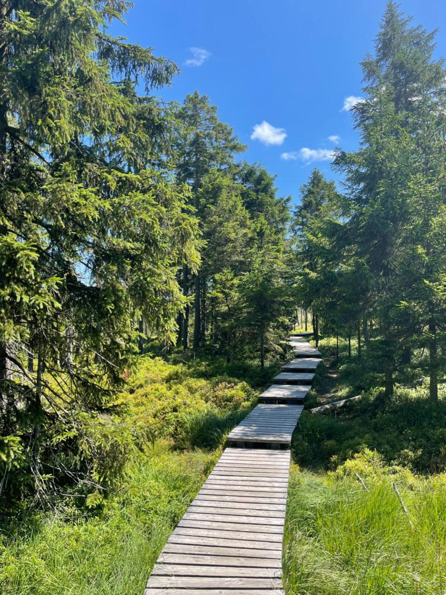 Harz Escape Διαμέρισμα Torfhaus Εξωτερικό φωτογραφία